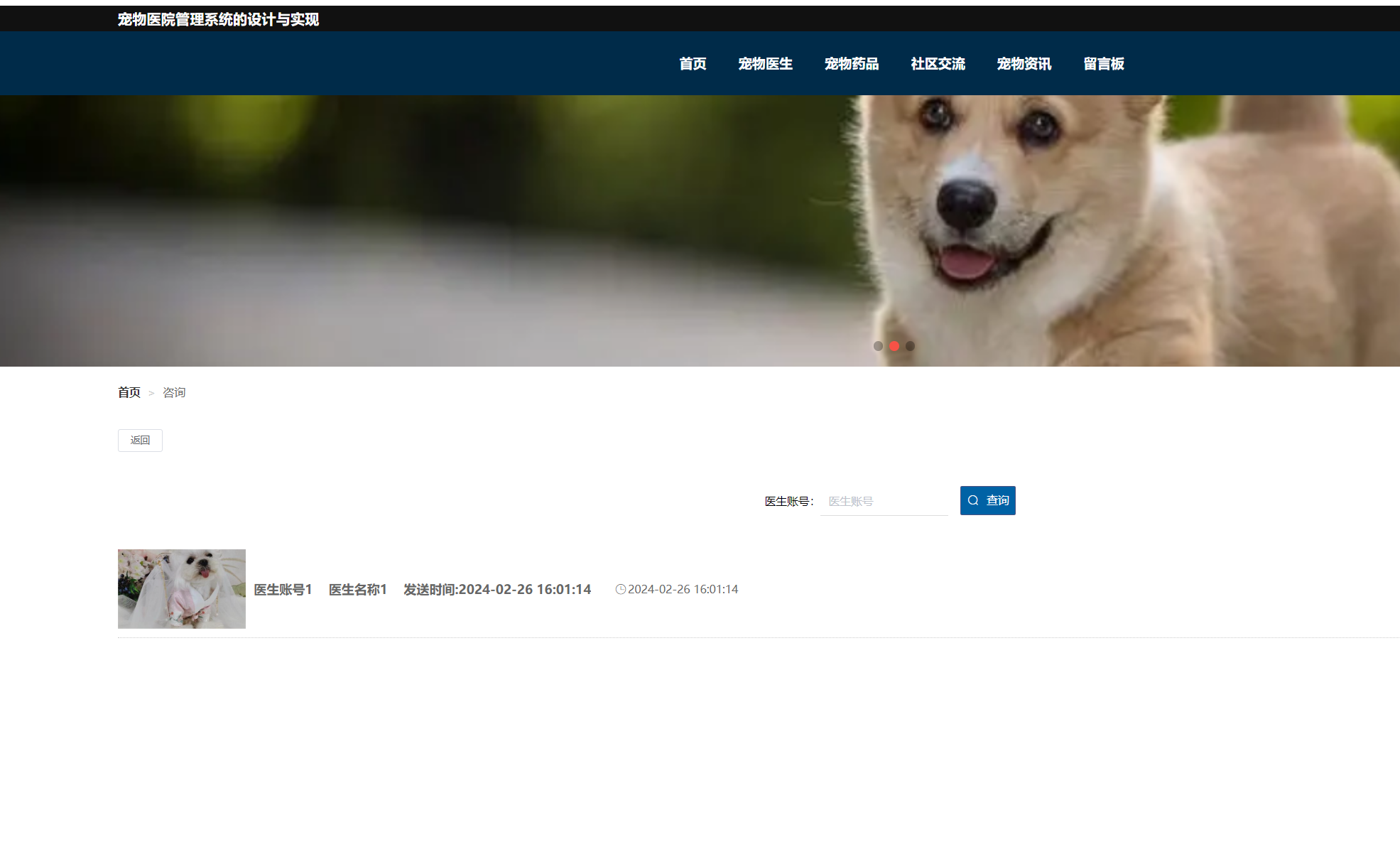 我的咨询.png