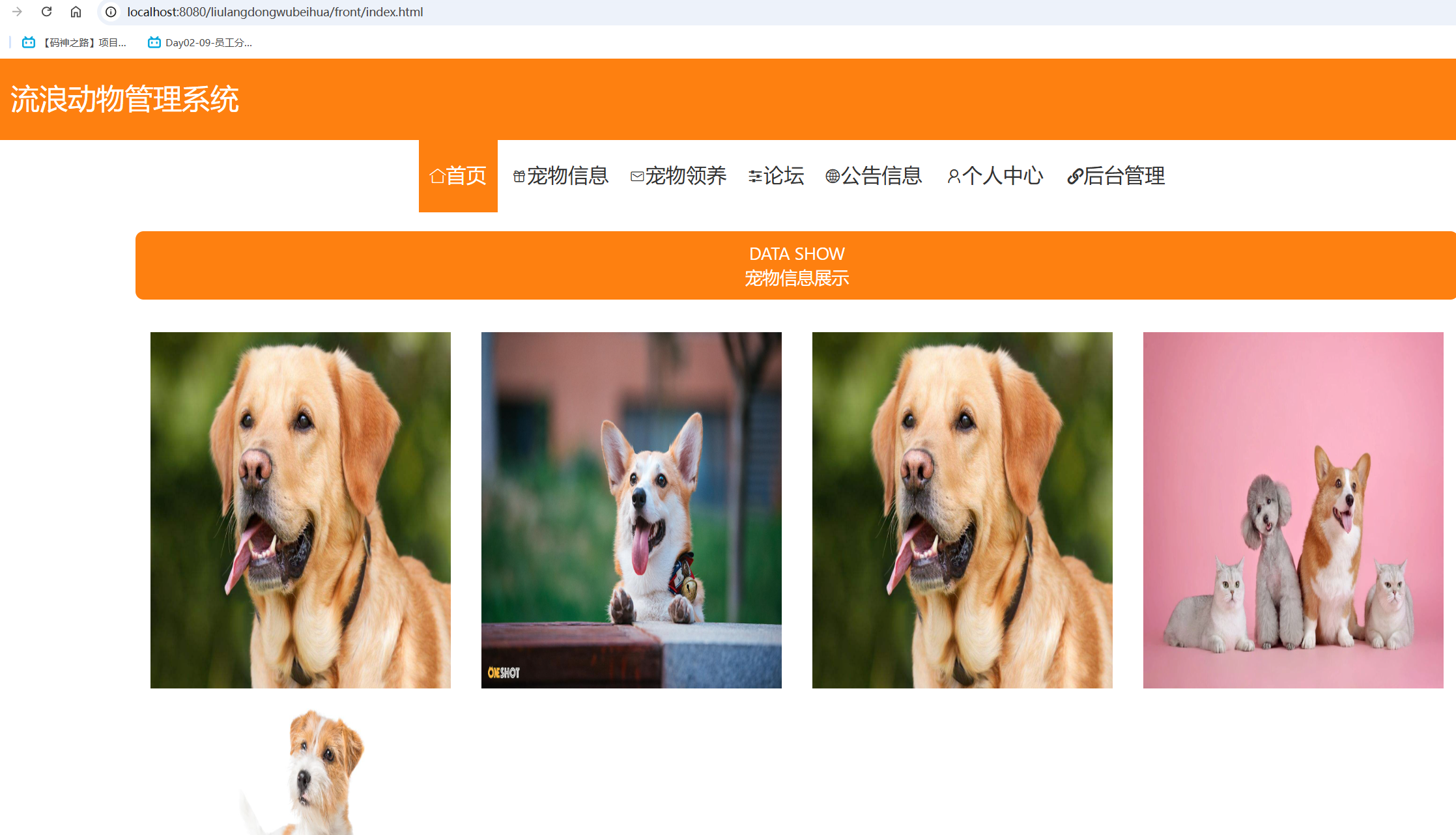 首页.png
