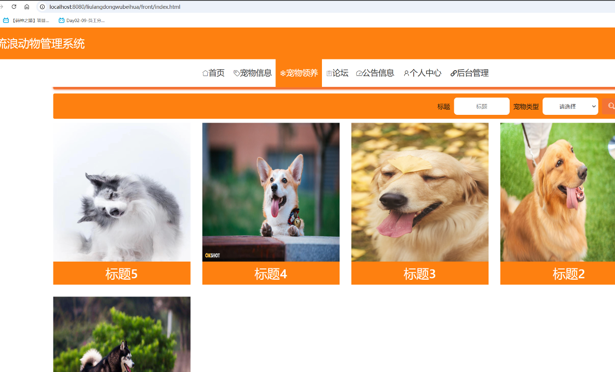 宠物领养.png