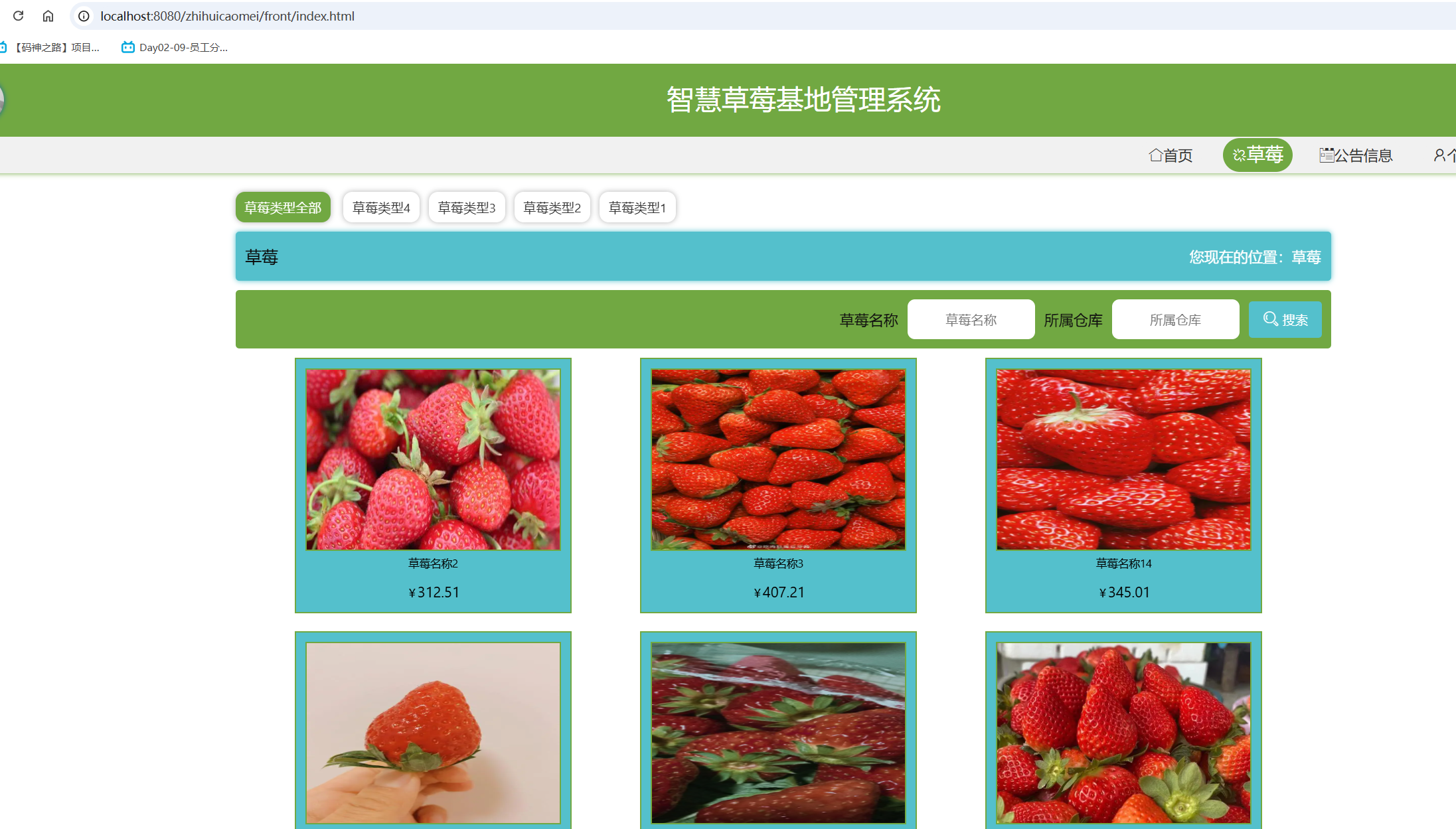 草莓展示.png