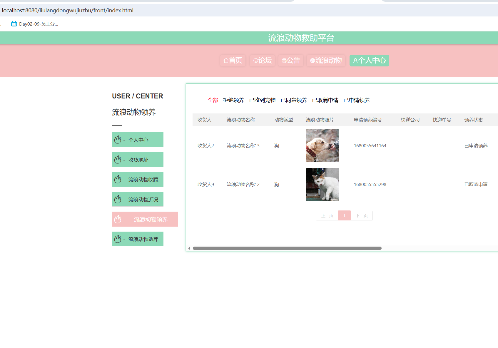 流浪动物领养.png