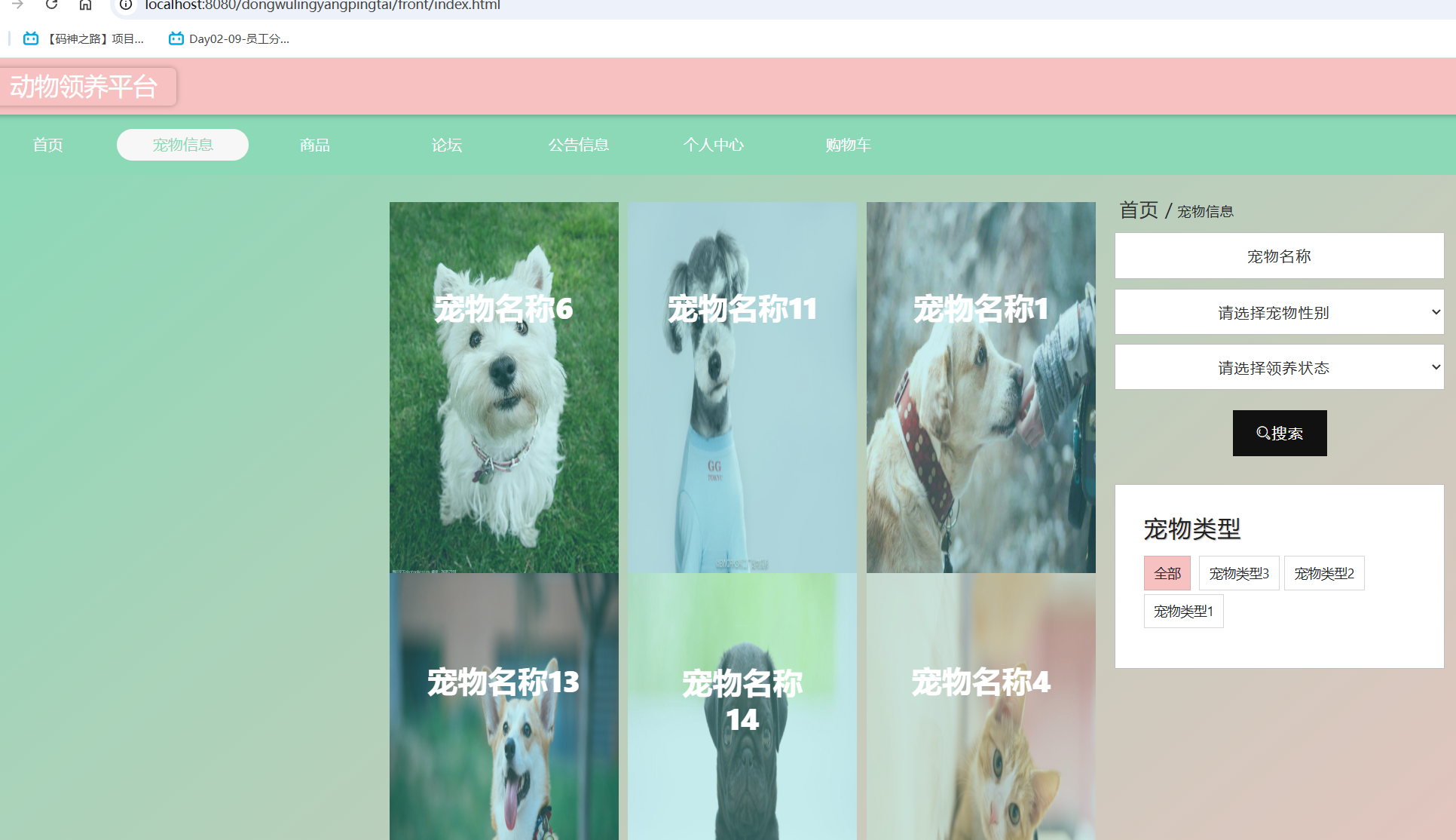 宠物信息.png