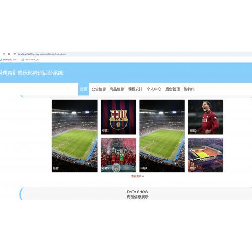 基于springboot 的足球青训俱乐部管理后台系统
