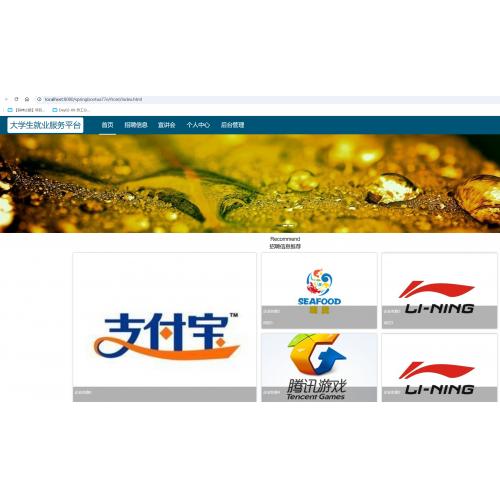 基于SpringBoot的大学生就业服务平台