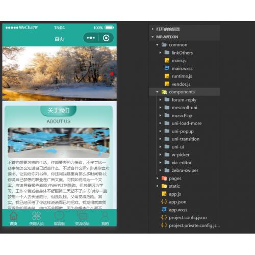 基于SpringBoot 的失踪人员信息发布与管理系统