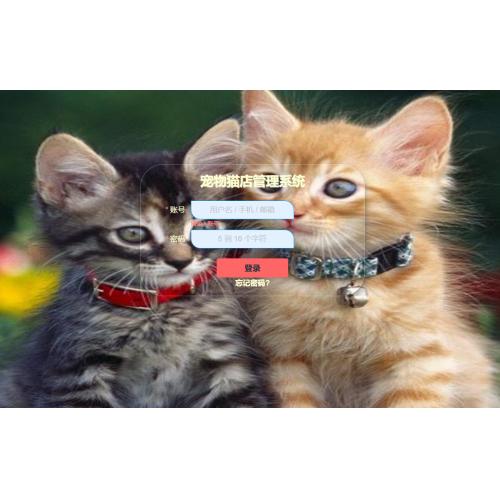 基于SpringBoot的宠物猫店管理系统