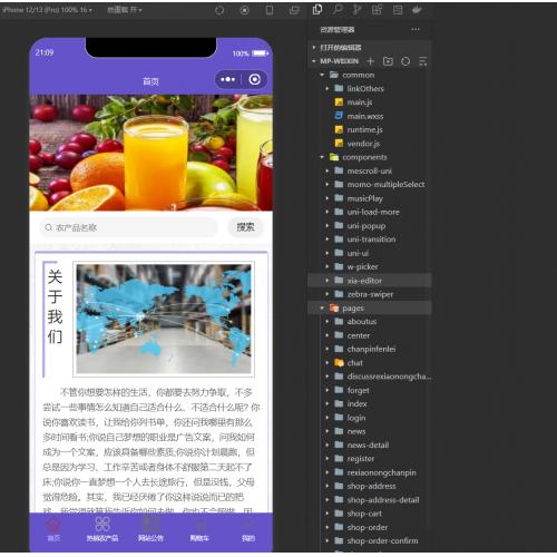 基于springboot农产品商城小程序